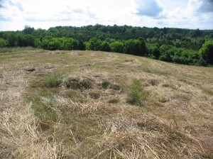 brandy-station-1-aug-09-020